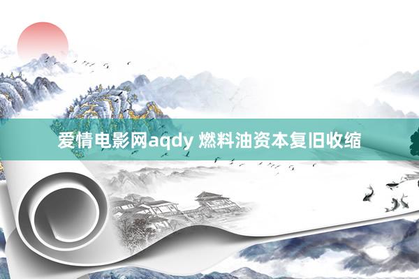 爱情电影网aqdy 燃料油资本复旧收缩