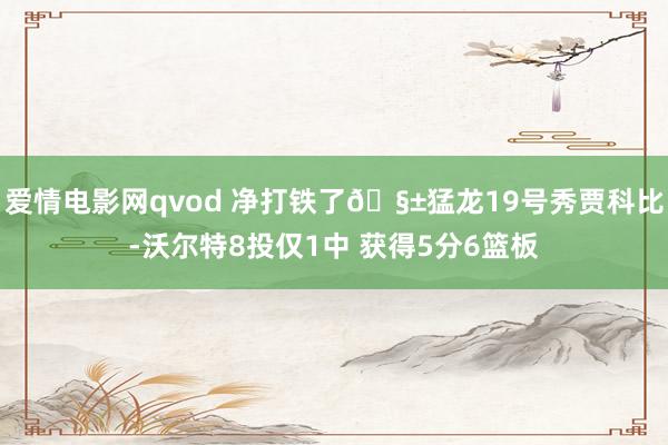 爱情电影网qvod 净打铁了🧱猛龙19号秀贾科比-沃尔特8投仅1中 获得5分6篮板