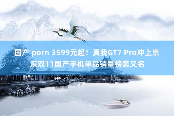 国产 porn 3599元起！真我GT7 Pro冲上京东双11国产手机单品销量榜第又名