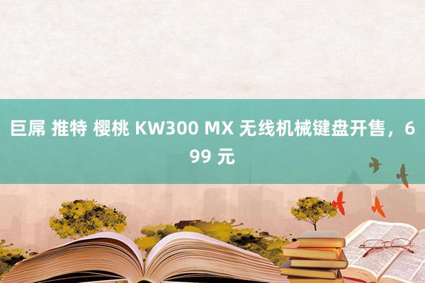 巨屌 推特 樱桃 KW300 MX 无线机械键盘开售，699 元