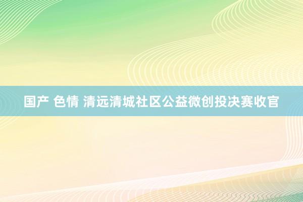 国产 色情 清远清城社区公益微创投决赛收官