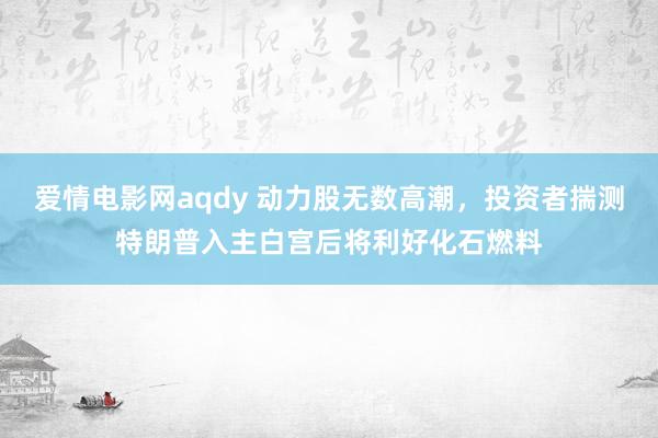 爱情电影网aqdy 动力股无数高潮，投资者揣测特朗普入主白宫后将利好化石燃料