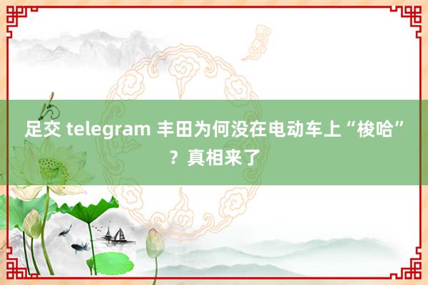 足交 telegram 丰田为何没在电动车上“梭哈”？真相来了