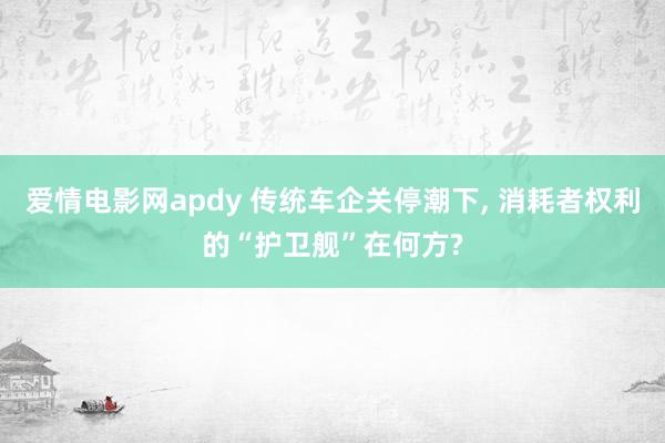 爱情电影网apdy 传统车企关停潮下， 消耗者权利的“护卫舰”在何方?