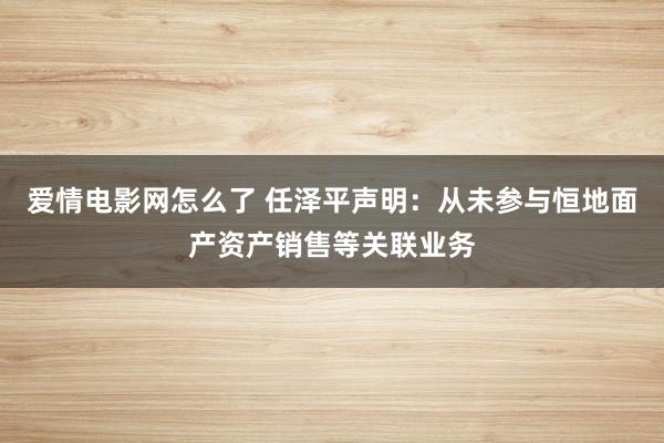 爱情电影网怎么了 任泽平声明：从未参与恒地面产资产销售等关联业务