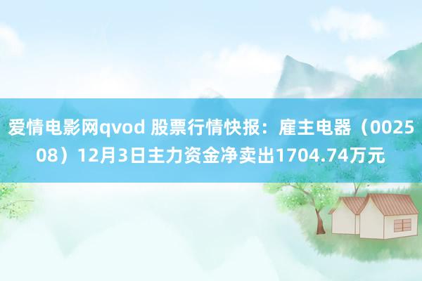 爱情电影网qvod 股票行情快报：雇主电器（002508）12月3日主力资金净卖出1704.74万元