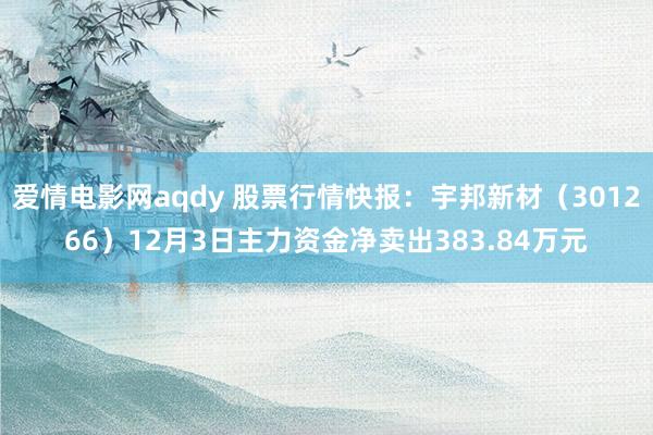 爱情电影网aqdy 股票行情快报：宇邦新材（301266）12月3日主力资金净卖出383.84万元