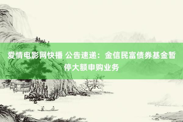 爱情电影网快播 公告速递：金信民富债券基金暂停大额申购业务