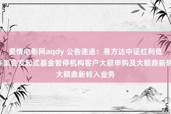 爱情电影网aqdy 公告速递：易方达中证红利低波动ETF聚会发起式基金暂停机构客户大额申购及大额鼎新转入业务