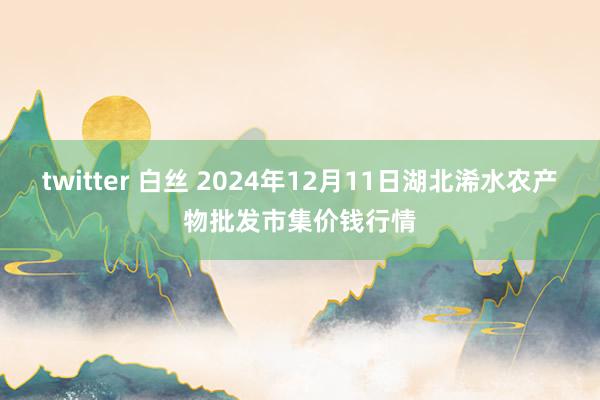 twitter 白丝 2024年12月11日湖北浠水农产物批发市集价钱行情