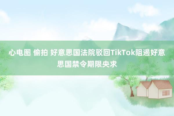 心电图 偷拍 好意思国法院驳回TikTok阻遏好意思国禁令期限央求