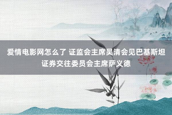 爱情电影网怎么了 证监会主席吴清会见巴基斯坦证券交往委员会主席萨义德