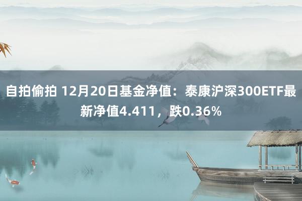 自拍偷拍 12月20日基金净值：泰康沪深300ETF最新净值4.411，跌0.36%