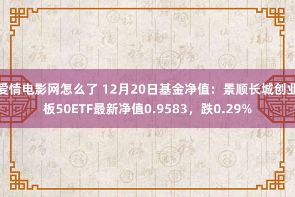 爱情电影网怎么了 12月20日基金净值：景顺长城创业板50ETF最新净值0.9583，跌0.29%