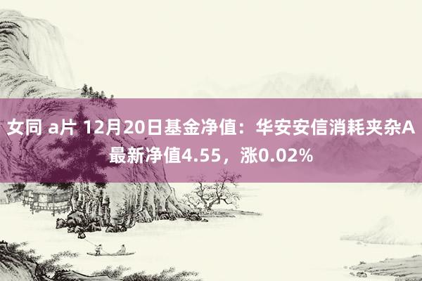 女同 a片 12月20日基金净值：华安安信消耗夹杂A最新净值4.55，涨0.02%