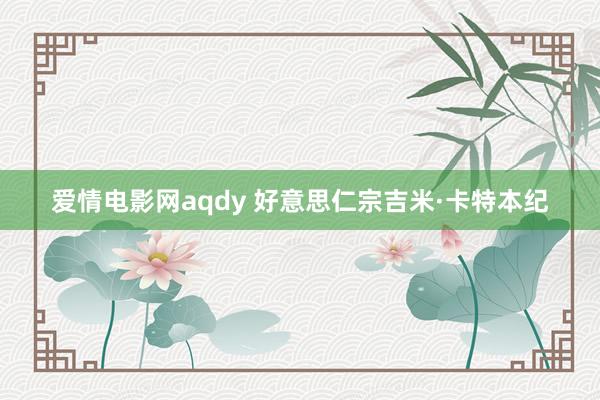 爱情电影网aqdy 好意思仁宗吉米·卡特本纪