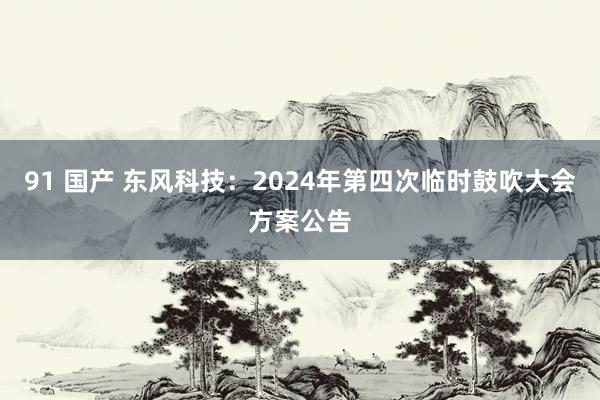 91 国产 东风科技：2024年第四次临时鼓吹大会方案公告