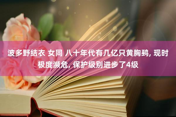 波多野结衣 女同 八十年代有几亿只黄胸鹀， 现时极度濒危， 保护级别进步了4级