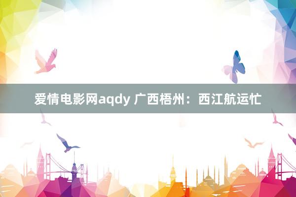 爱情电影网aqdy 广西梧州：西江航运忙