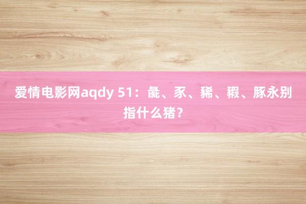 爱情电影网aqdy 51：彘、豕、豨、豭、豚永别指什么猪？