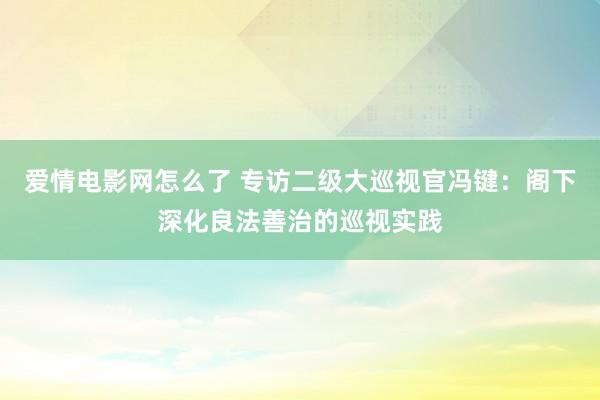 爱情电影网怎么了 专访二级大巡视官冯键：阁下深化良法善治的巡视实践