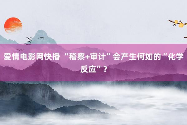 爱情电影网快播 “稽察+审计”会产生何如的“化学反应”？