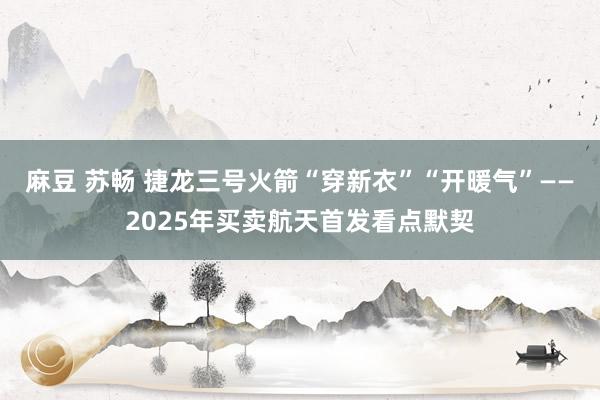 麻豆 苏畅 捷龙三号火箭“穿新衣”“开暖气”——2025年买卖航天首发看点默契