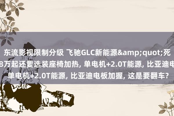 东流影视限制分级 飞驰GLC新能源&quot;死灭&quot;， 51.8万起还要选装座椅加热， 单电机+2.0T能源， 比亚迪电板加握， 这是要翻车?